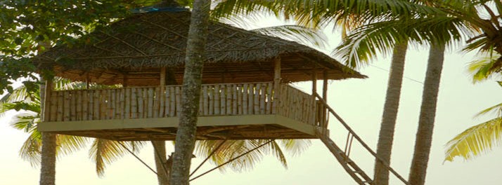 1381/The World Backwaters - Alleppey 14.jpg